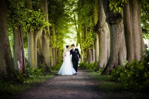 brautpaar in der allee in Schlemmin